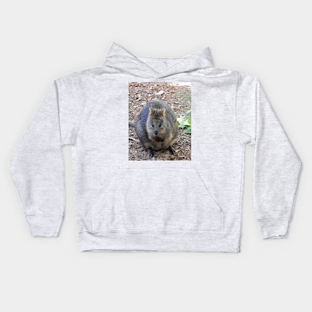 Quokka Kids Hoodie by kirstybush